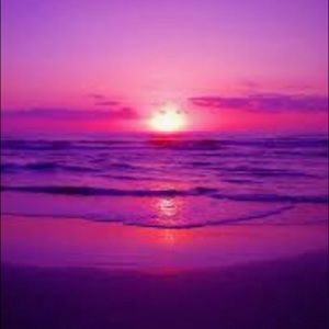 Meet your Posher, Joy